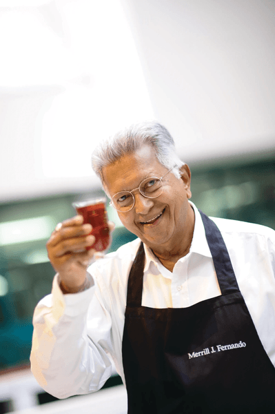 Ceylon Wiry Low Grown OP1 Dark Orange Infusion Single Origin Tea