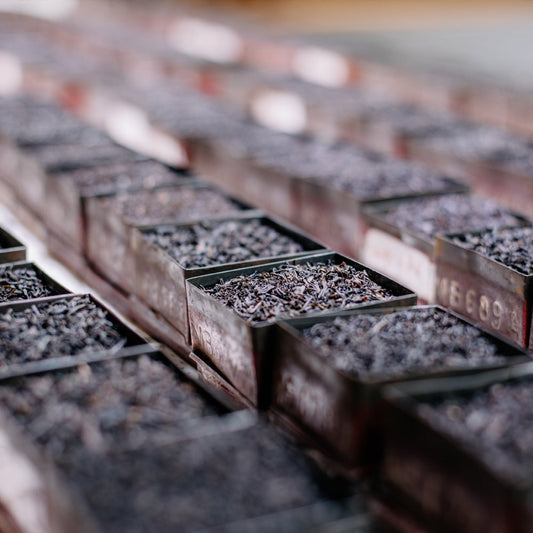 Why Ceylon Tea is the Best Choice for Memorable Menus