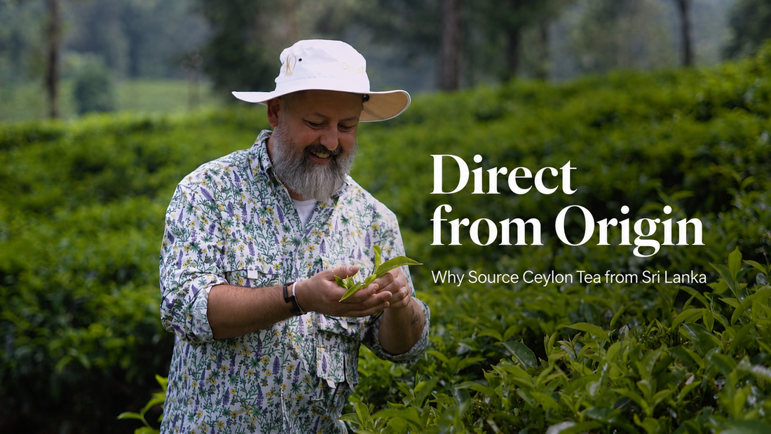 Direct from Origin vs Traditional Broker Route: Why Source Ceylon Tea from Sri Lanka