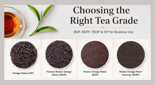 Choosing the Right Tea Grade: BOP, BOPF, FBOP and OP for Business Use