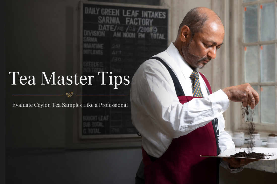 Tea Master Tips: How to Evaluate Ceylon Tea Samples Like a Professional