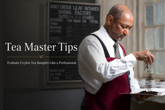 Tea Master Tips: How to Evaluate Ceylon Tea Samples Like a Professional