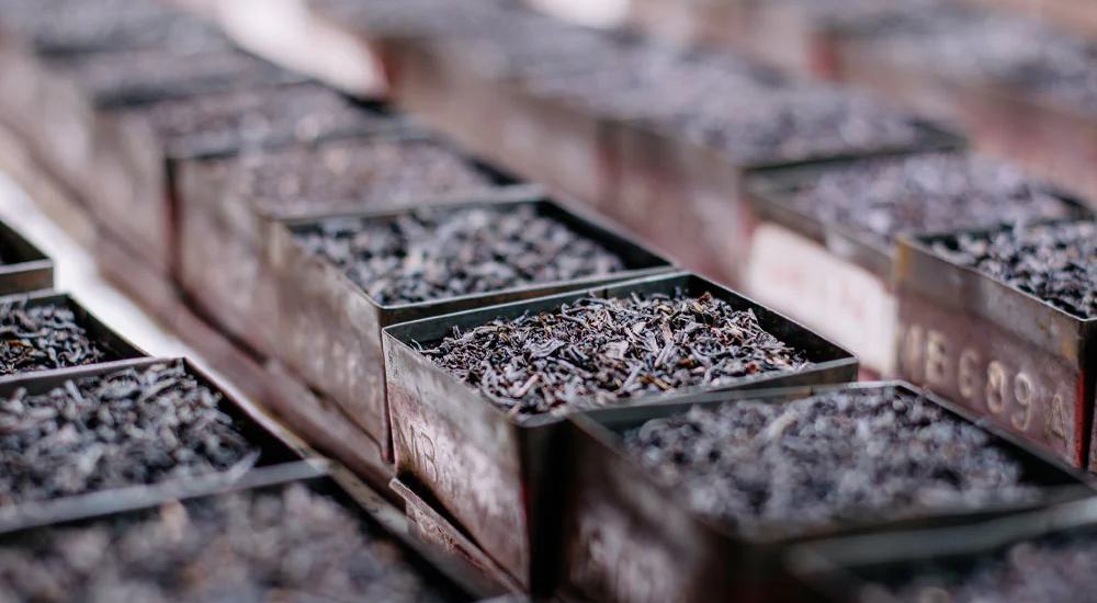 Why Ceylon Tea is the Best Choice for Memorable Menus