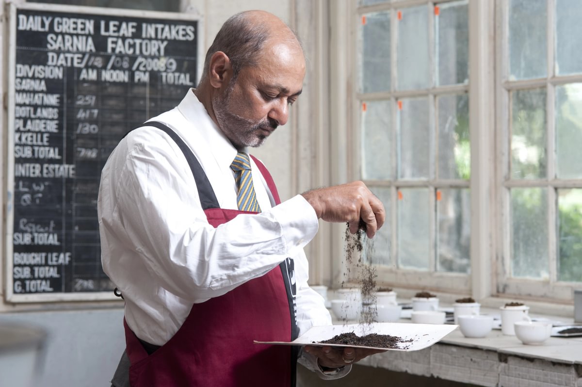 Ceylon Twisted Leafy Low Grown OP Orange Infusion Single Origin Tea
