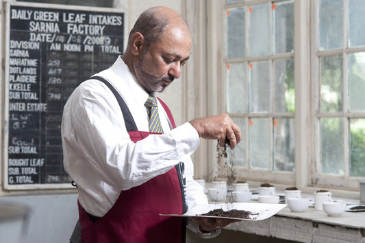 Ceylon Twisted Leafy Low Grown OP Orange Infusion Single Origin Tea